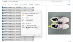 Yupoo_Image_Downloader_By_Sumit
